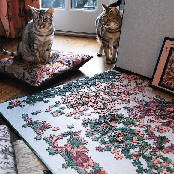 Lynx Emma J Shipley Art 1000 Piece Jigsaw Puzzle - Picture 2 of 6